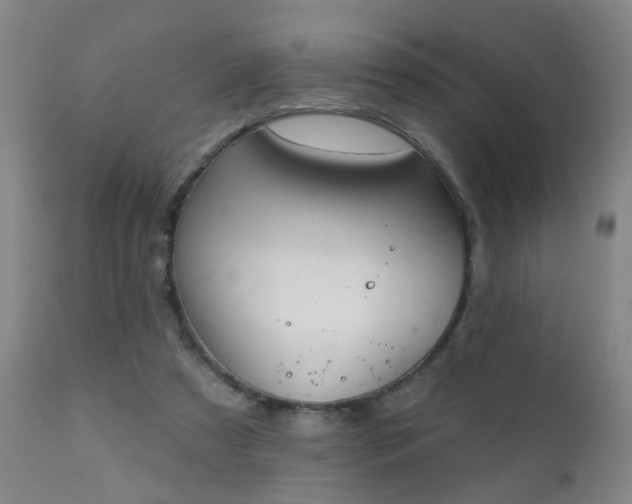 X0000112420305200908211152