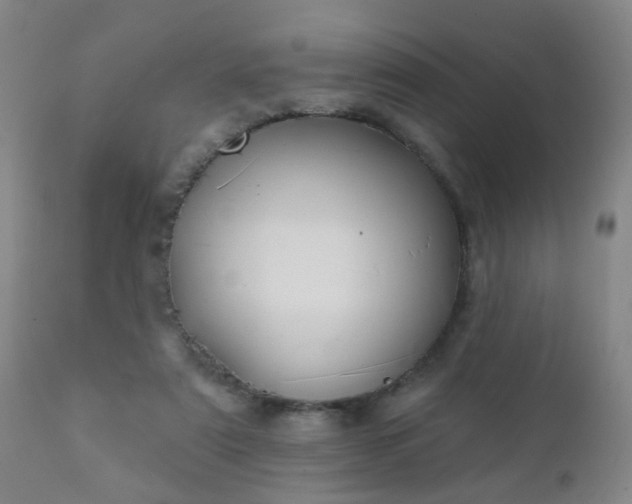 X0000112420307200908211152