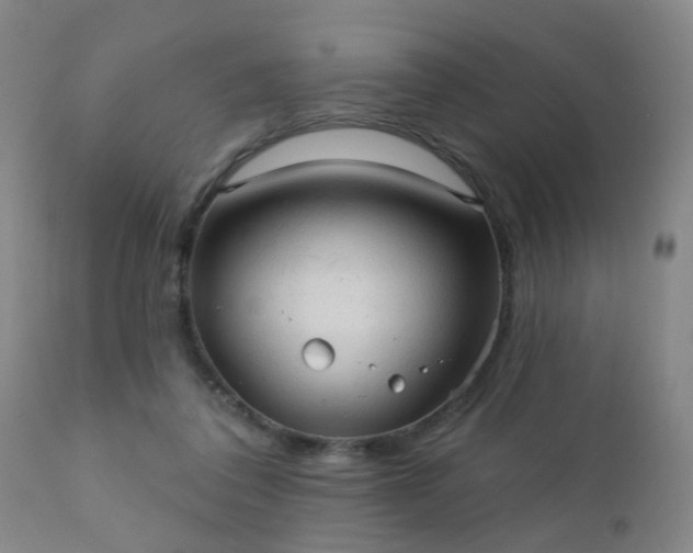 X0000112420308200908211152