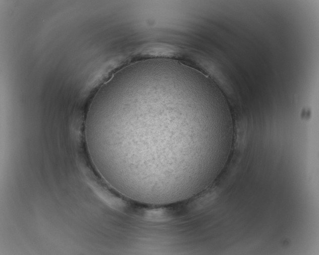 X0000112420309200908211152