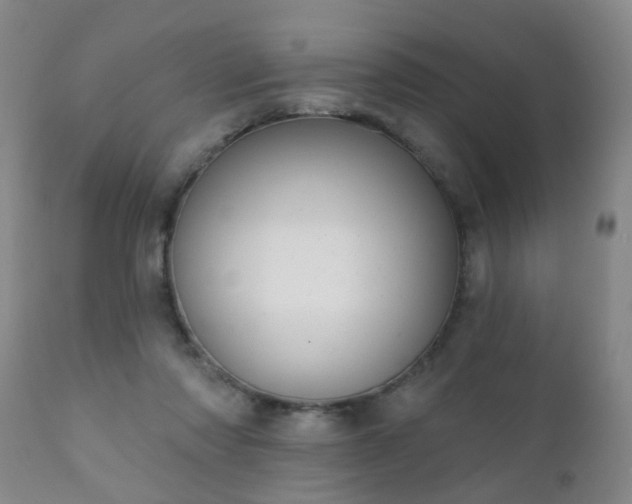 X0000112420310200908211152