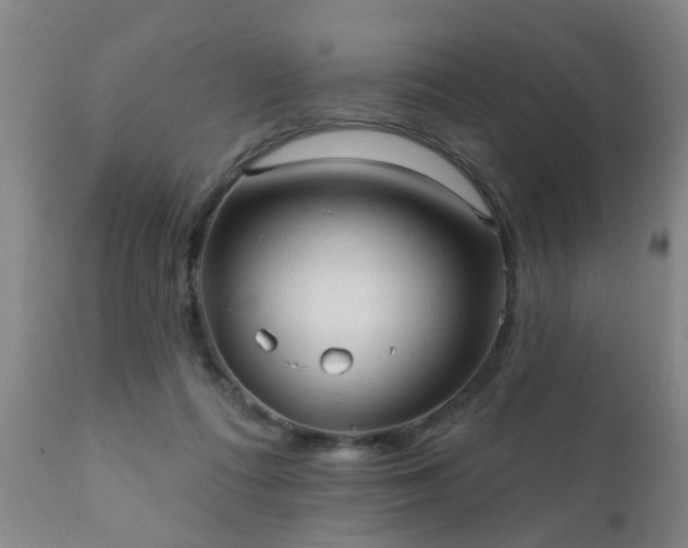 X0000112420312200908211152