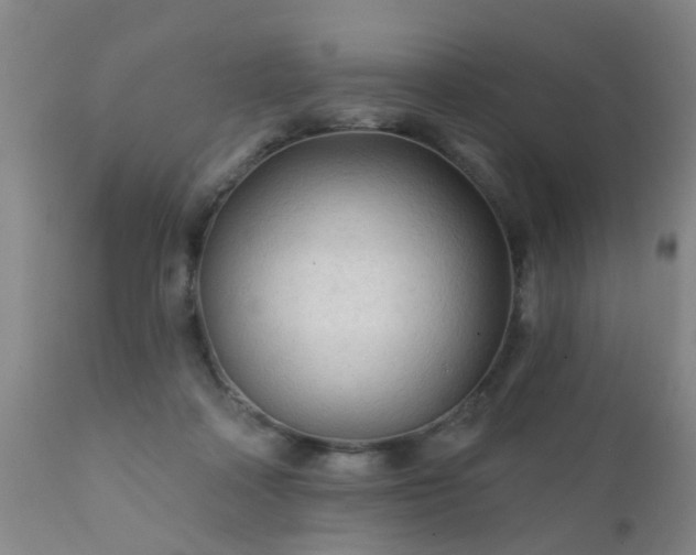 X0000112420314200908211152