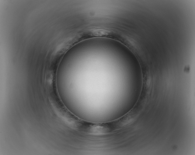 X0000112420315200908211152