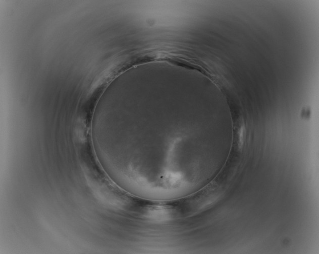 X0000112420316200908211152