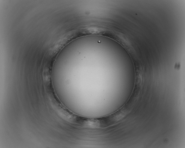 X0000112420317200908211152