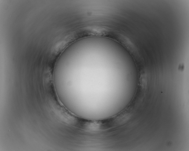 X0000112420318200908211152