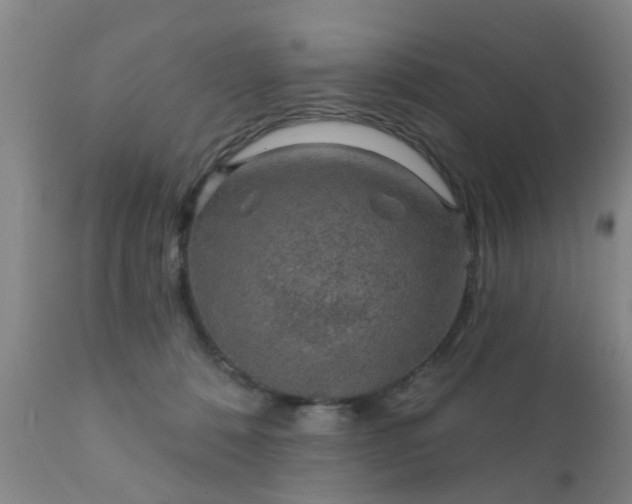 X0000112420320200908211152