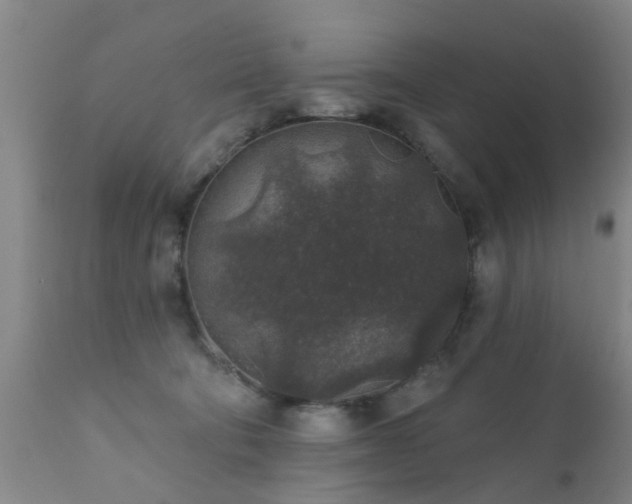 X0000112420322200908211152