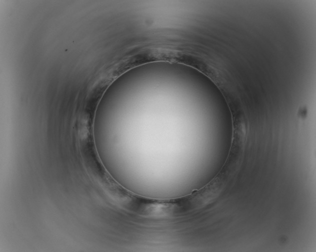 X0000112420323200908211152