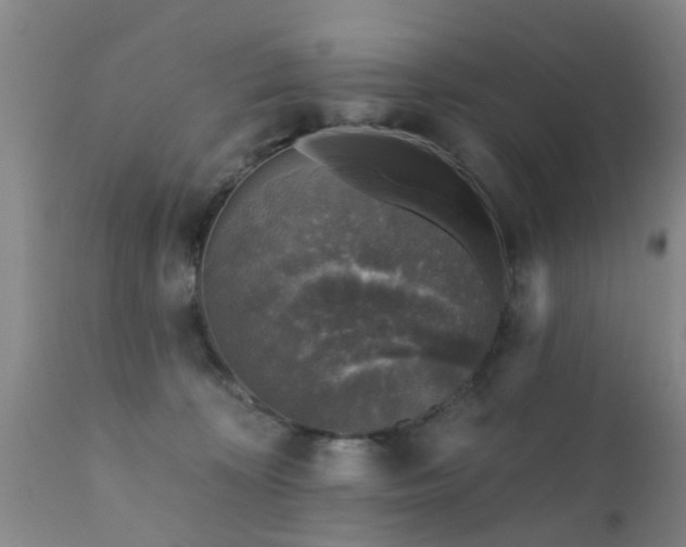 X0000112420324200908211152