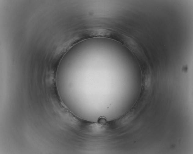 X0000112420326200908211152