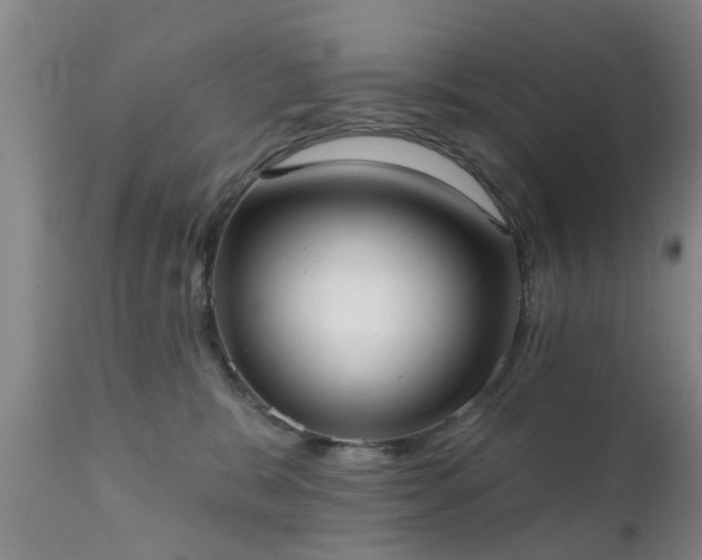 X0000112420327200908211152