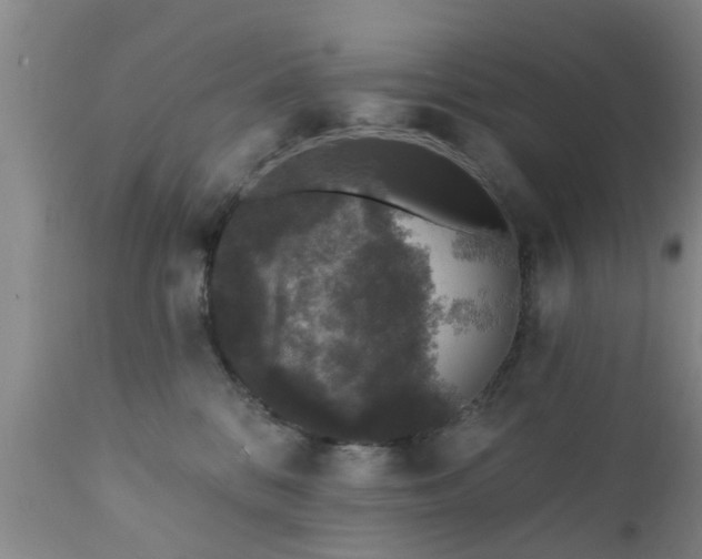 X0000112420328200908211152