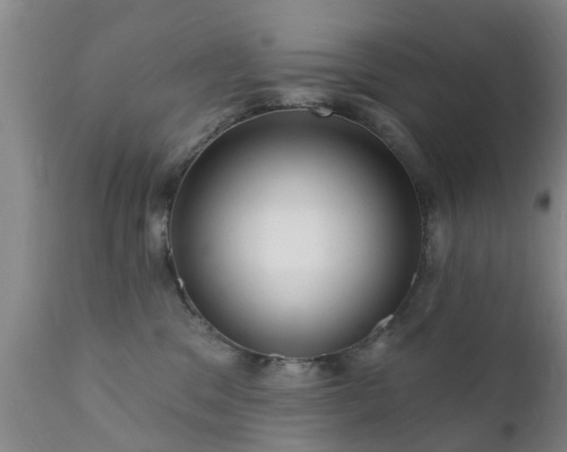 X0000112420329200908211152