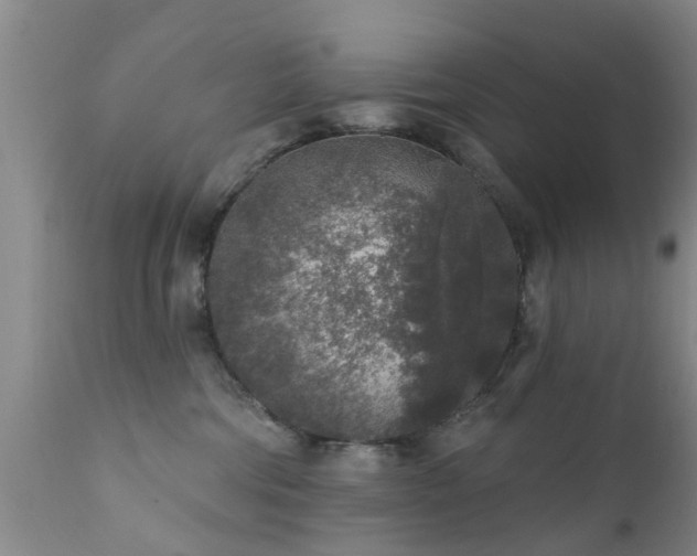 X0000112420330200908211151