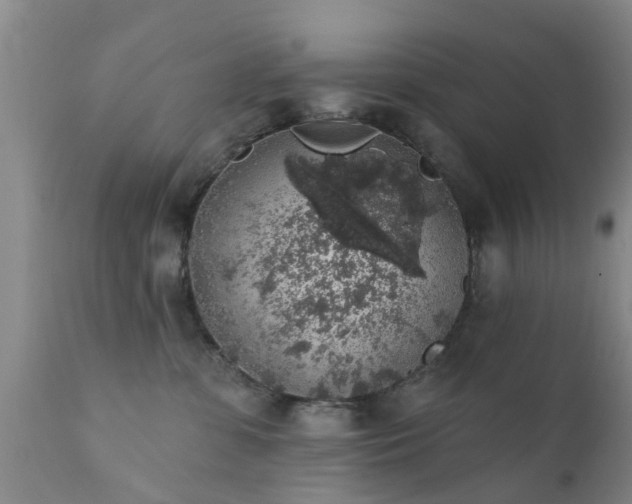 X0000112420331200908211151