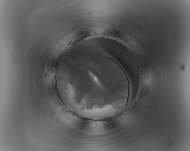 X0000112420332200908211151