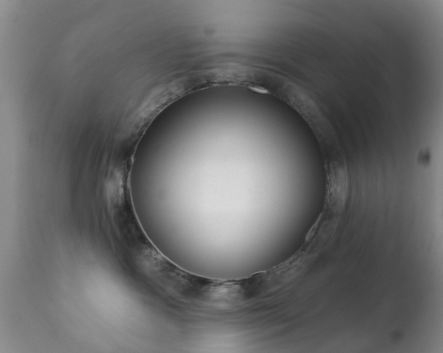 X0000112420333200908211151