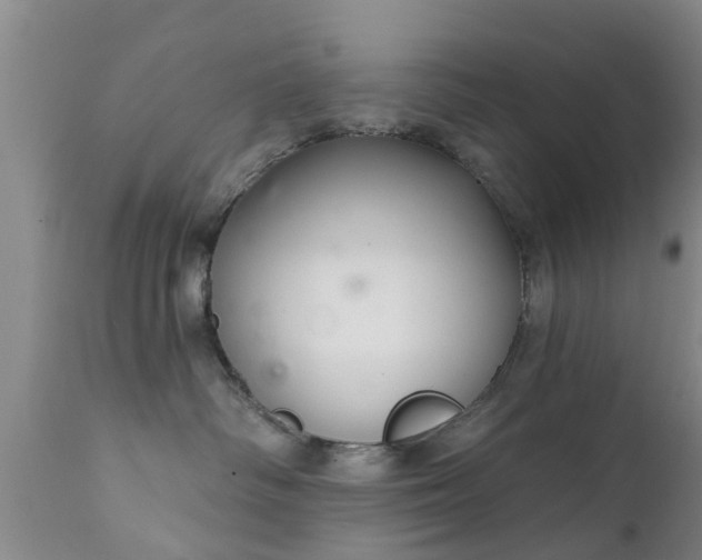 X0000112420334200908211151