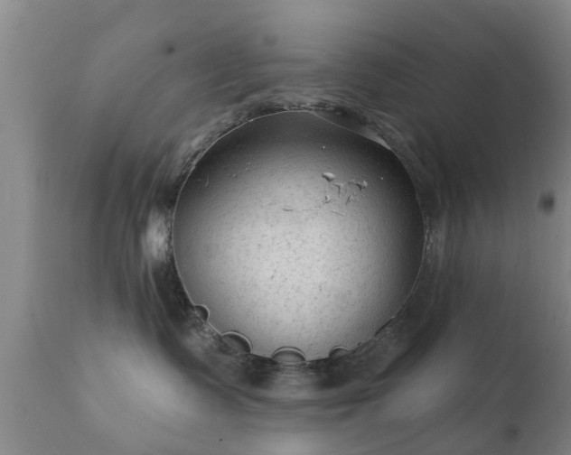 X0000112420335200908211151