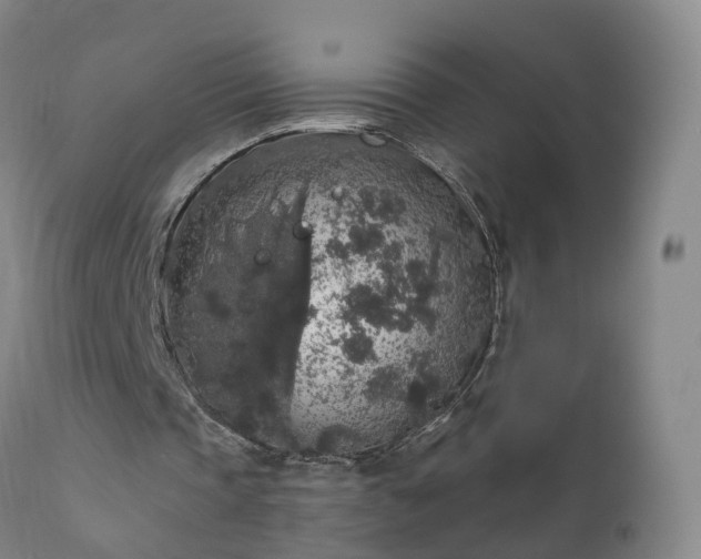 X0000112420337200908211151