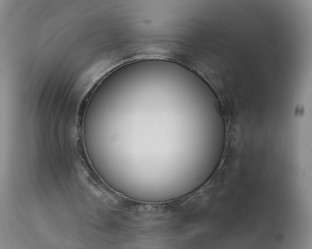 X0000112420338200908211151