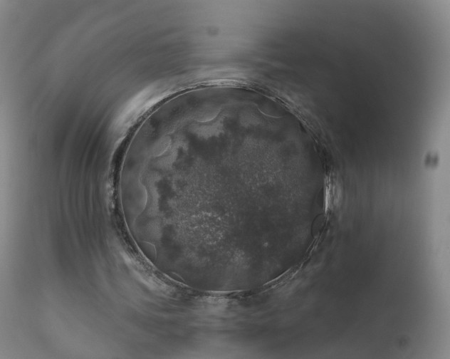 X0000112420339200908211151