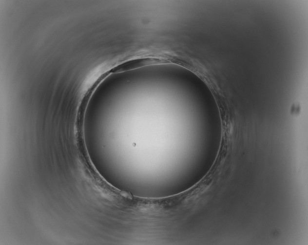 X0000112420340200908211151