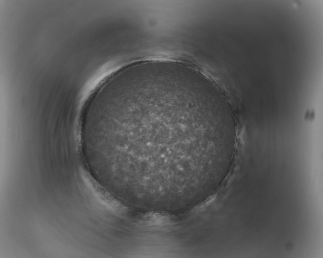 X0000112420343200908211151