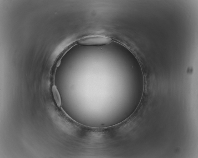 X0000112420344200908211151