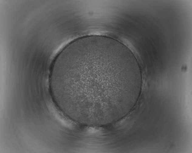 X0000112420346200908211151