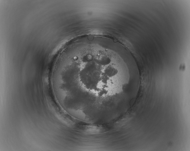 X0000112420347200908211151