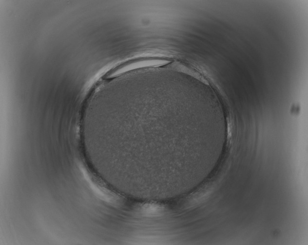 X0000112420348200908211151