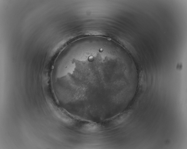 X0000112420351200908211151