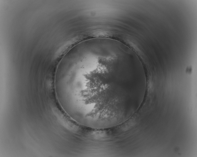 X0000112420353200908211151