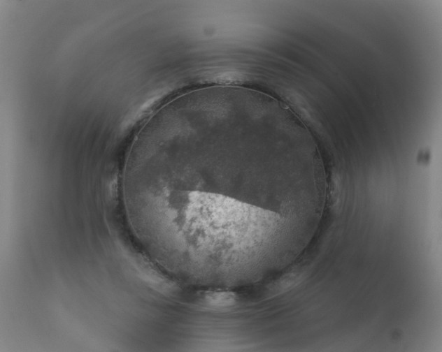 X0000112420355200908211151