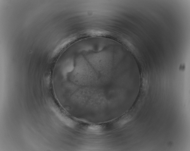 X0000112420357200908211151