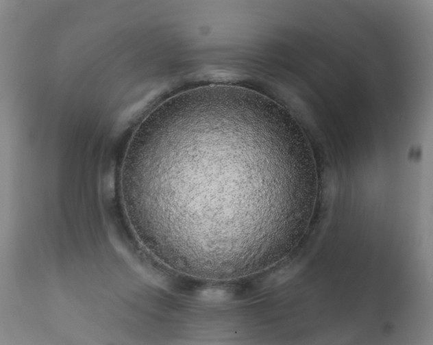 X0000112420358200908211151