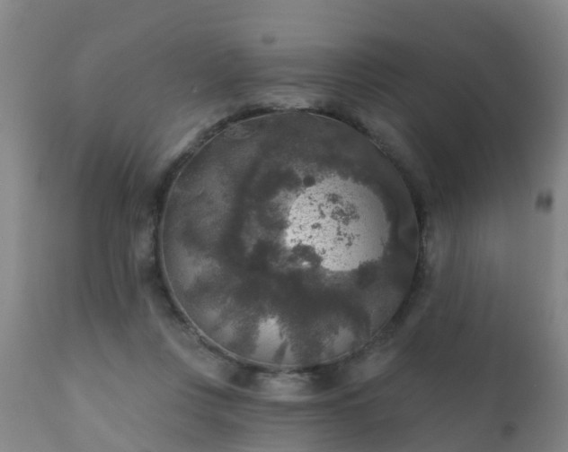 X0000112420359200908211151