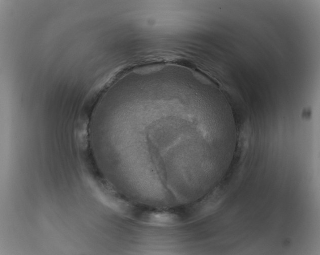 X0000112420360200908211151