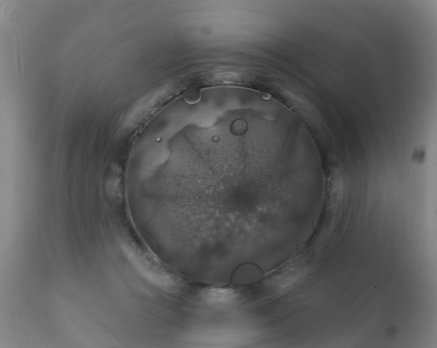 X0000112420361200908211151