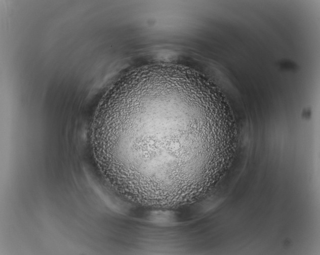 X0000112420363200908211151