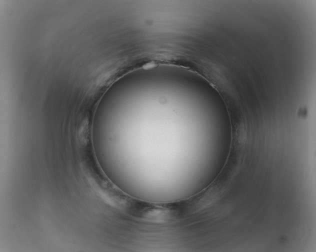 X0000112420364200908211151