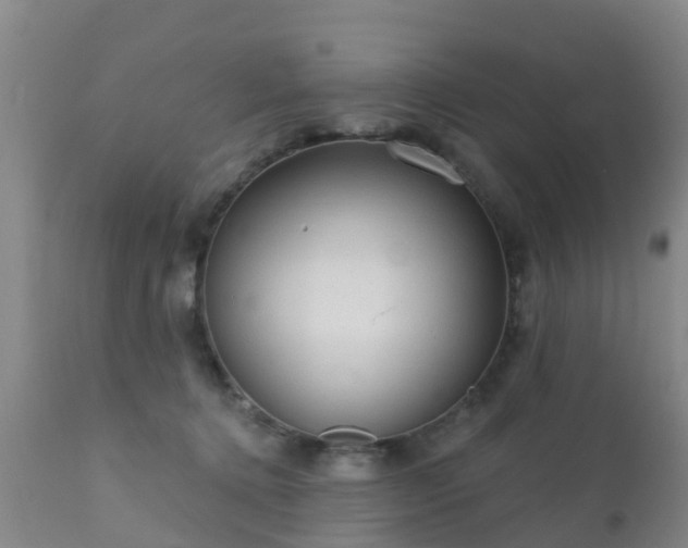 X0000112420368200908211151