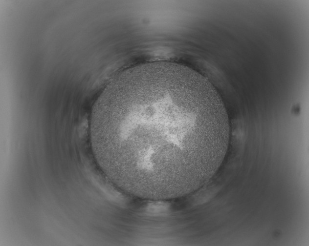 X0000112420369200908211151