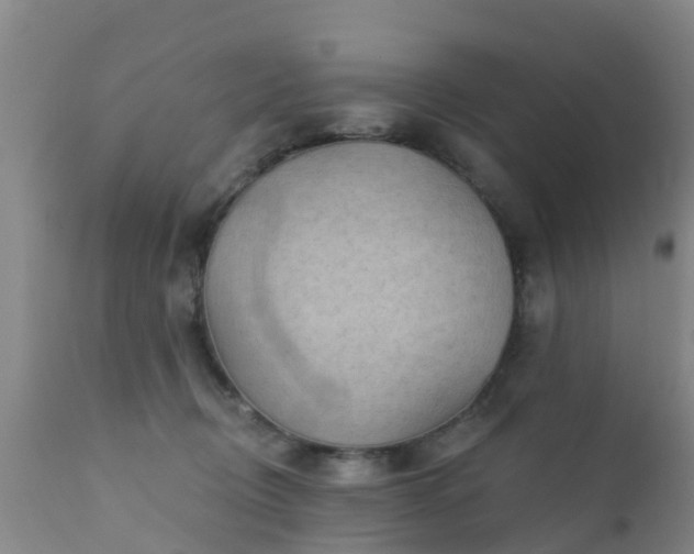 X0000112420370200908211151