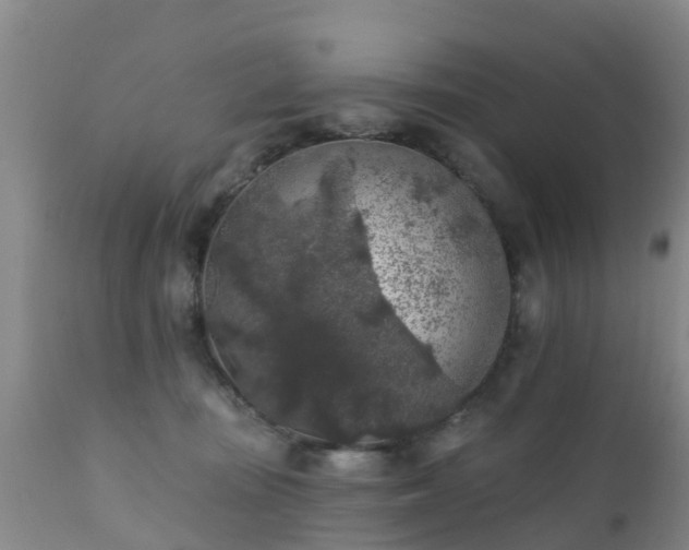 X0000112420371200908211151