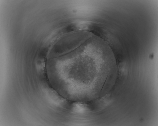 X0000112420372200908211151