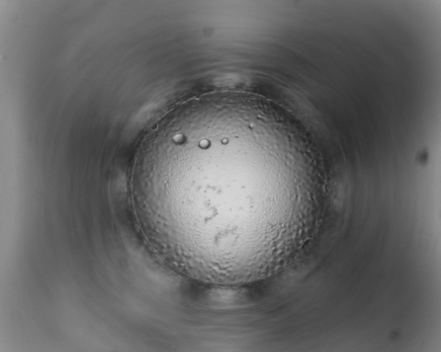 X0000112420375200908211151